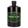 Bavion's Gin LUMINOUS 45% Vol. 0,5l | Saksalainen gini | 🌾 Whisky Ambassador | Online Shop