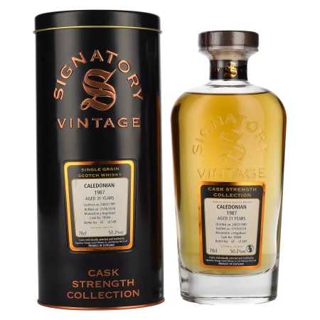 🌾Signatory Vintage CALEDONIAN 31 Years Old Cask Strength 1987 50,2% Vol. 0,7l in Tinbox | Whisky Ambassador