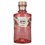 🌾JUNE by G'Vine Gin Watermelon 37,5% Vol. 0,7l | Whisky Ambassador