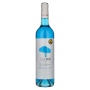 🌾Pasion Blue Chardonnay 9,5% Vol. 0,75l | Whisky Ambassador