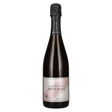 Polz Brut Rosé 12% Vol. 0,75l | Acquista il vino | 🌾 Whisky Ambassador | Online Shop