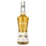 La Liqueur de Monin VANILLE AUS MADAGASCAR 20% Vol. 0,7l