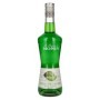 🌾La Liqueur de Monin SAVEUR MELON VERT 20% Vol. 0,7l 