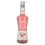 La Liqueur de Monin SAVEUR LITCHI 17% Vol. 0,7l