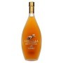 Bottega CANNELLA Ceylon Cinnamon Liqueur 28% Vol. 0,5l