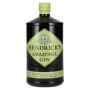 Hendrick's Gin AMAZONIA 43,4% Vol. 1l