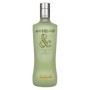 Ampersand MELON FLAVOUR Premium Gin 37,5% Vol. 0,7l | Gin kaufen | 🌾 Whisky Ambassador | Online Shop