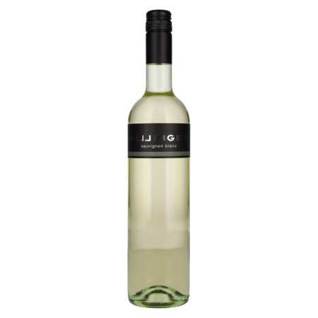 Hillinger Sauvignon Blanc 2022 13% Vol. 0,75l | Bílé víno | 🌾 Whisky Ambassador | Online Shop