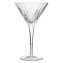 🌾Bormioli Luigi Mixology Margaritaglas 22 cl | Whisky Ambassador