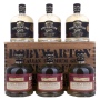 🌾Roby Marton Gin Original Italian Premium Dry 47% Vol. 6x0,7l in Holzkiste | Whisky Ambassador