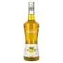 🌾La Liqueur de Monin GELBE BANANE 20% Vol. 0,7l | Whisky Ambassador