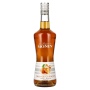 La Liqueur de Monin ORANGE CURACAO 24% Vol. 0,7l | Liqueur française | 🌾 Whisky Ambassador | Online Shop