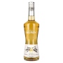 La Liqueur de Monin VANILLE AUS MADAGASCAR 20% Vol. 0,7l | Likör kaufen | 🌾 Whisky Ambassador | Online Shop