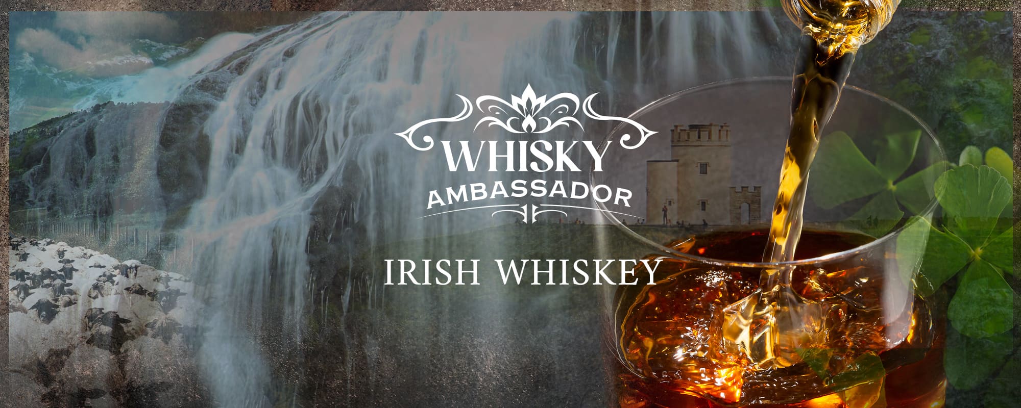 Irish Whisk(e)y Online Store⭐ At the lowest prices.